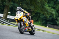 anglesey;brands-hatch;cadwell-park;croft;donington-park;enduro-digital-images;event-digital-images;eventdigitalimages;mallory;no-limits;oulton-park;peter-wileman-photography;racing-digital-images;silverstone;snetterton;trackday-digital-images;trackday-photos;vmcc-banbury-run;welsh-2-day-enduro
